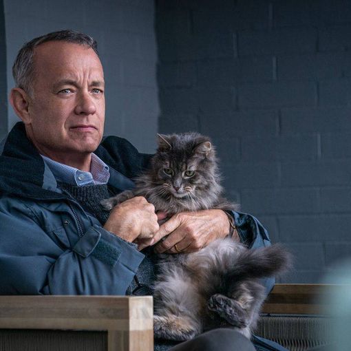 In Sala Pastrone ad Asti i film &quot;Non così vicino&quot; con Tom Hanks e &quot;Rapito&quot; di Marco Bellocchio