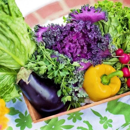 Con il Riparti Piemonte sostegno al settore agroalimentare e biologico