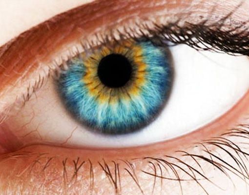 A marzo la settimana dedicata al glaucoma: le iniziative dell'Apri di Asti per la prevenzione
