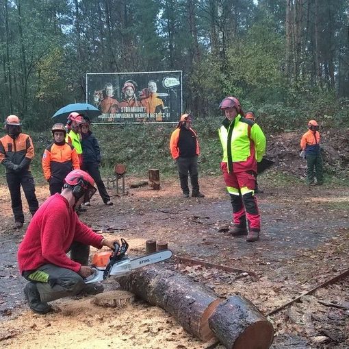 Operai forestali al lavoro