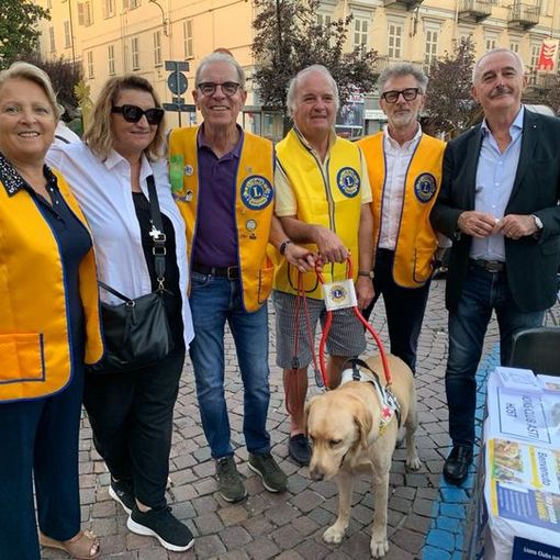 Il 16 ottobre alla sede APRI &quot;I nostri amici a quattro zampe&quot;: per condividere e convivere con i cani di assistenza