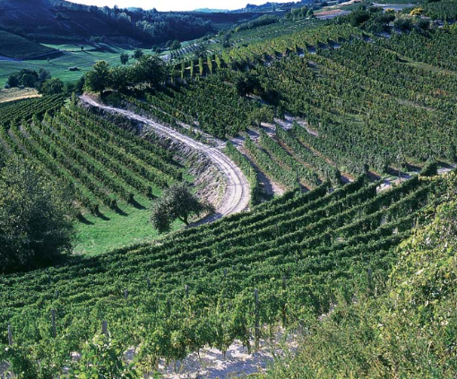 Domenica il CAI astigiano organizza una passeggiata lungo il tracciato della Superga-Vezzolano-Crea