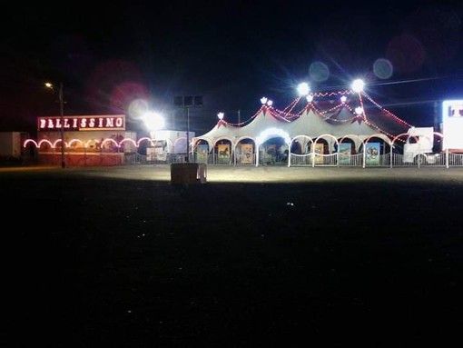 &quot;Qualcuno mi aiuti a trovare lavoro a mio figlio&quot;: l'appello di Bruno Niemen del Circo delle Stelle