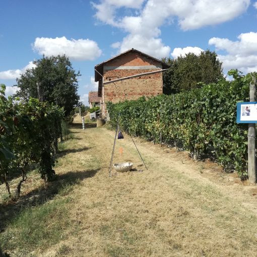 Gli itinerari di Davide Lajolo con il Festival del paesaggio agrario &quot;Laboratorio paesaggio&quot;