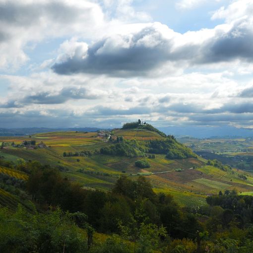 Con l’ingresso del Consorzio tutela vini Doc Pinerolese, Piemonte Land rappresenta tutti i Consorzi di tutela regionali riconosciuti dal MIPAAFT