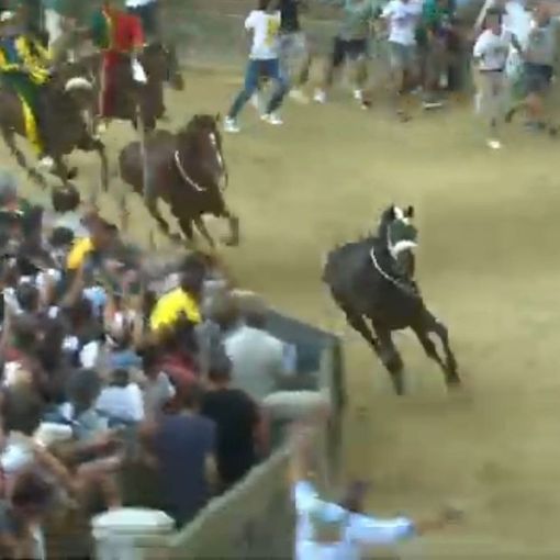 Foto tratta dal frame del video di Gazzetta di Siena