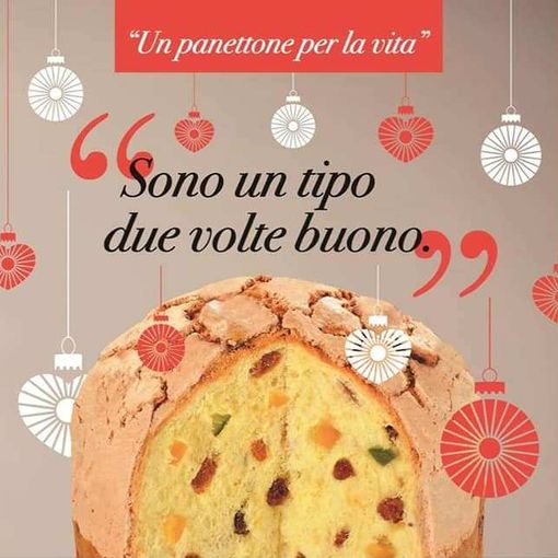 &quot;Un panettone per la vita&quot;, iniziativa di solidarietà a Canelli e Nizza Monferrato