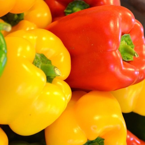 Il 2020 sarà l'anno del Peperone, con il Peperonario di Fata Zucchina