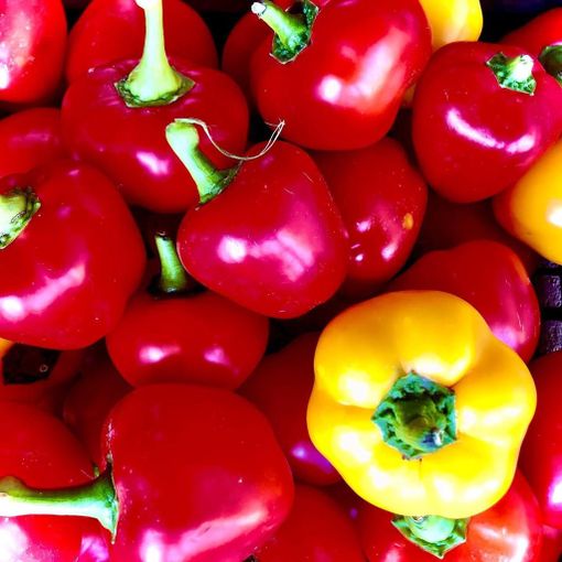 Il Presidio del peperone di Capriglio si costituisce in Comunità Slow Food