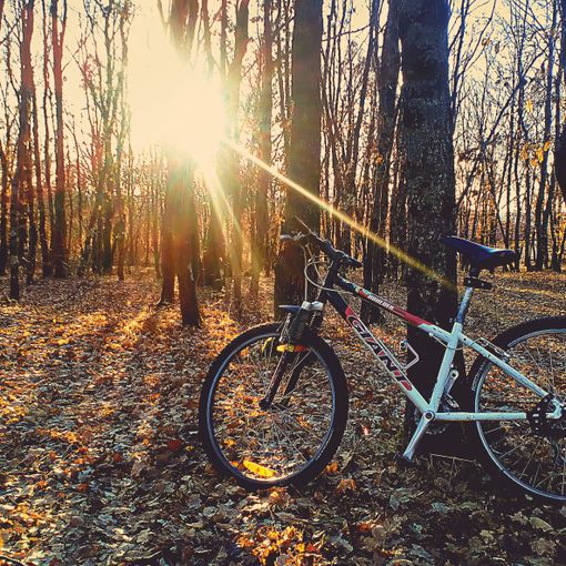 Fridays For Future: in bicicletta nel Piemonte rurale alla scoperta dell'impatto della crisi climatica sull'agricoltura