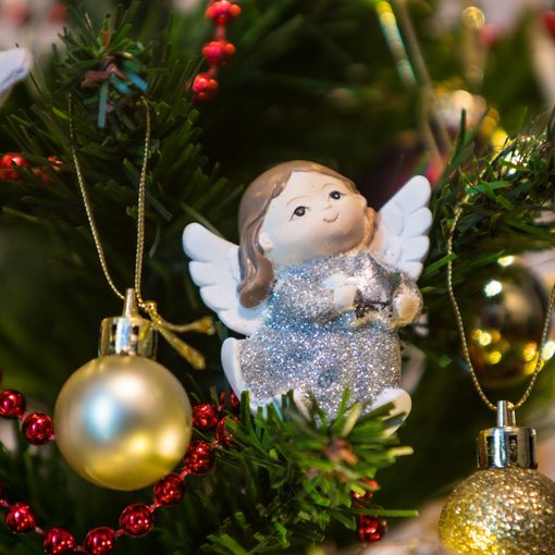 Presepi e alberi di Natale nelle scuole: le reazioni dell'ambiente scolastico astigiano