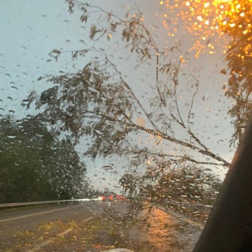 Foto tratta dal canale Telegram del gruppo Dati Meteo Asti