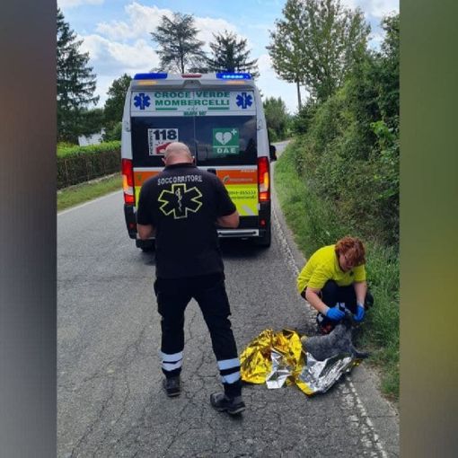Un momento del salvataggio di un cane in difficoltà (foto tratta dalla pagina Facebook della Croce Verde Mombercellese)