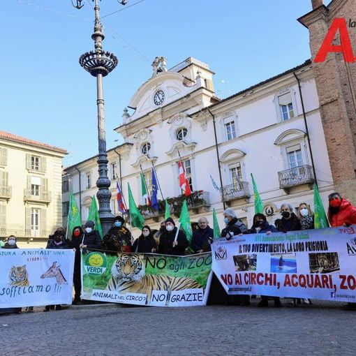 Foto di Merfephoto