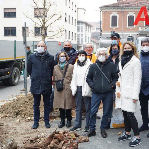 Asti, rimossi in via Rosselli i ceppi del platano abbattuto ad agosto e messe a dimora nuove piante [FOTO]