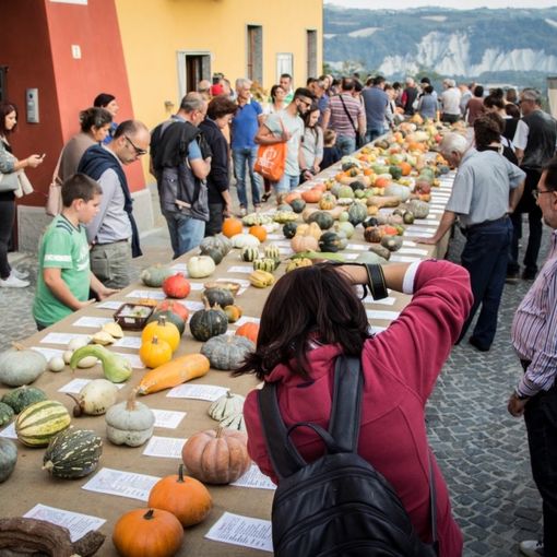Torna la Fiera Regionale della Zucca di Piozzo, in provincia di Cuneo