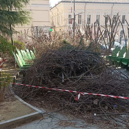 Consiglieri di opposizione all'attacco: &quot;Nei giardini Alganon rami abbandonati da 15 giorni dopo la potatura&quot;