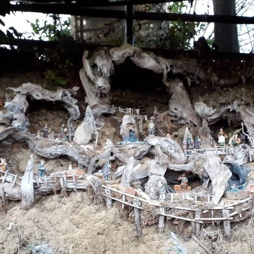 A Cisterna d'Asti un presepe è allestito tra le radici di una riva in Bricco Scaglia