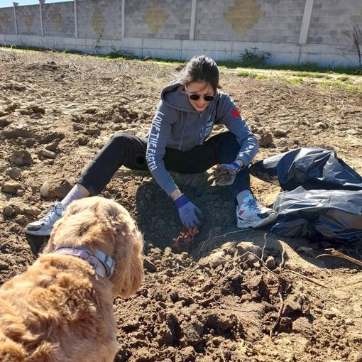 I volontari di Protect our home al lavoro a Villafranca