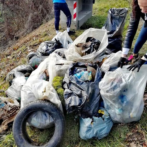 &quot;La campagna di Striscia avrà dato frutti?&quot;. Sabato nuova raccolta di Protect our home