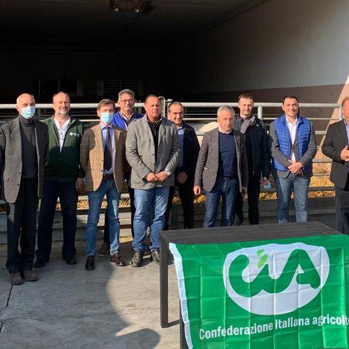 Cia a difesa della Razza Piemontese: &quot;Urgente riequilibrare la catena dei prezzi a favore degli allevatori&quot;