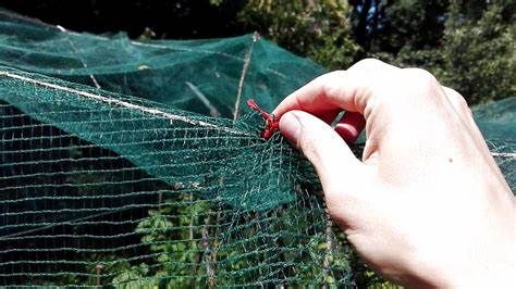 Bando per l'acquisto di reti antigrandine per gli agricoltori del Piemonte