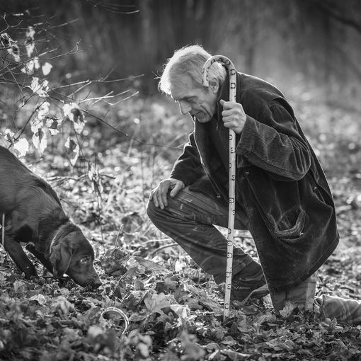 Ph Tino Gerbaldo