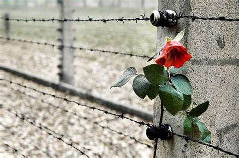 Oggi Giornata della Memoria, tante iniziative ad Asti e provincia e la medaglia ad astigiani deportati