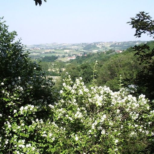 II Comune di Castell'Alfero propone &quot;Quattro passi tra boschi e giardini&quot;