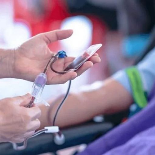 Scoperto il primo caso di 'Usutu' in Piemonte su un astigiano di 46 anni