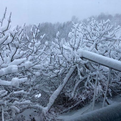 Sessame (Foto Angela canale Telegram Dati Meteo Asti)