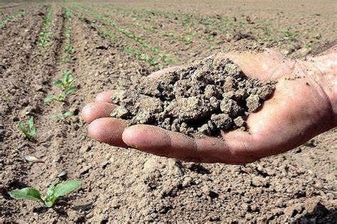 Siccità Asti: il consigliere Cerruti (M5S) chiede iniziative sulla gestione dell’acqua e campagne di sensibilizzazione