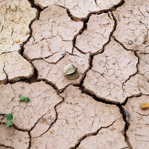 Clima pazzo in Piemonte: nel 2022 il nono inverno più caldo di sempre