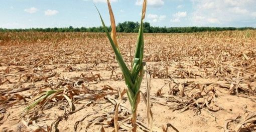 Pericolo siccità nell'Astigiano: si teme per le semine primaverili