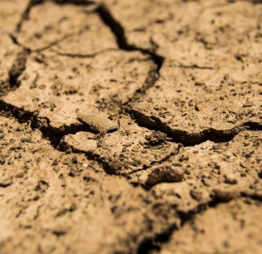 Siccità, la Regione vola a Roma: all'orizzonte lo stato d'emergenza e nuovi razionamenti [VIDEO]
