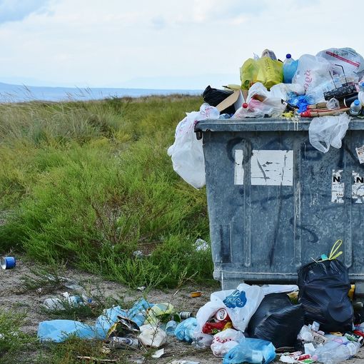 Audizione delle associazioni ambientaliste in Quinta commissione: &quot;Basta nuovi inceneritori&quot;