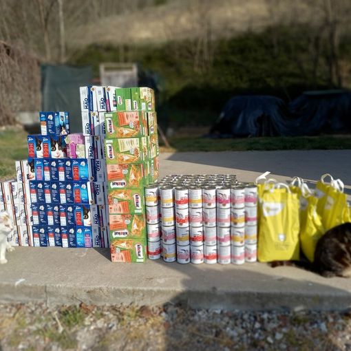 Continua la donazione punti Fidaty per la Lida di Asti, già effettuate diverse spese [FOTO]