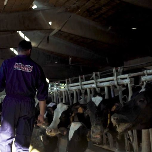Inalpi sulla protesta agricoltori: &quot;Necessario individuarne i veri obiettivi, ma anche cogliere gli elementi di sostegno&quot;