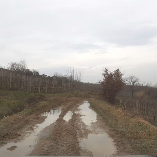 Strade dissestate, una nuova segnalazione porta a Costigliole d'Asti in strada Sottovia [FOTO]