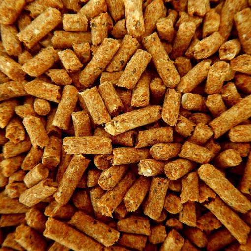 Stufe a pellet risparmio energetico Roma