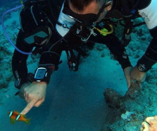 Domenica alla piscina comunale di Asti una giornata alla scoperta della subacquea