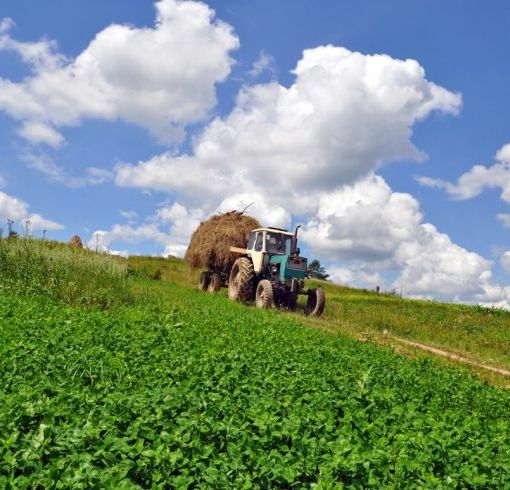 Sviluppo rurale del Piemonte: aperto il bando regionale per la formazione dei consulenti in agricoltura