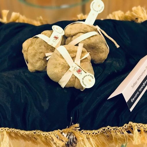 Castello di Grinzane Cavour: presentata a Mosca la XX edizione dell'asta mondiale del tartufo bianco