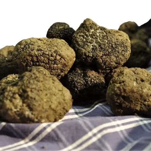 Tramonta definitivamente il 'Nero Monferrato'. Per promuovere il Nord Astigiano arriva 'Oro Monferrato'