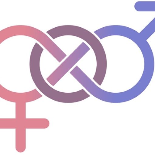 &quot;La principessa racconta&quot;: un percorso fabulo-tecnologico sulla differenza di genere