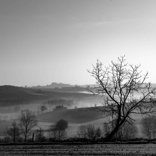 Foto di Maurizio Agostinetto