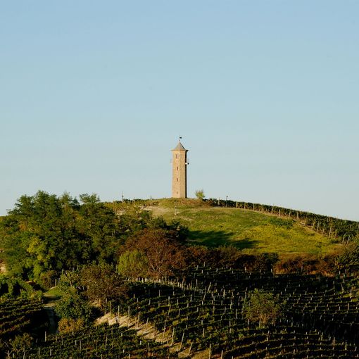 Le torre dei Contini a Canelli
