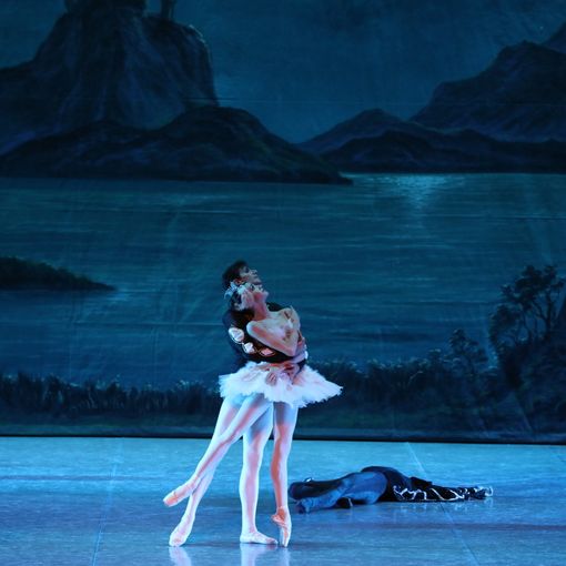 Ancora 50 biglietti disponibili e un prezzo speciale per l'evento di danza &quot;Una notte a Vienna&quot;