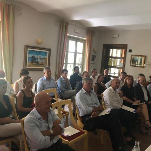 Il pubblico