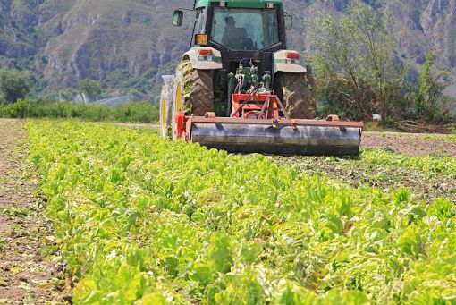 Agricoltura: dalla Regione in arrivo 12,7 milioni di euro per le aziende agricole